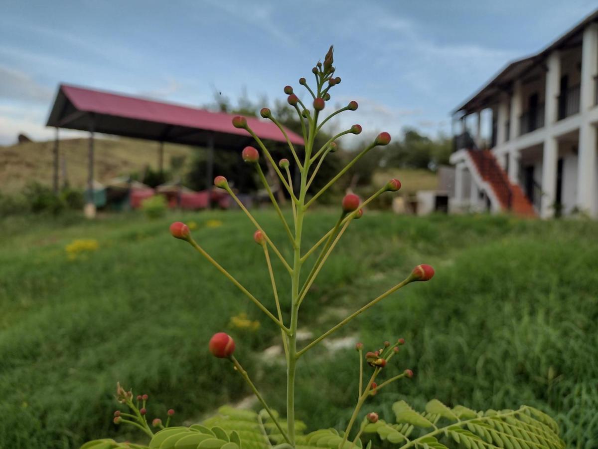 Cosmos Tatacoa Hotel Villavieja Εξωτερικό φωτογραφία
